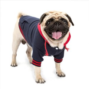 New Pet Clothes Color Matching Sweater Dog Clothes Pet Supplies