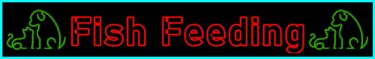 My-Pet-Extra Aquarium Feeding Page Title Image Banner - Visitor Navigation Information Support Black Green Red Blue