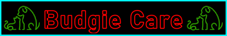 My-Pet-Extra Budgie Care Page Title Image Banner - Visitor Navigation Information Support Black Green Red Blue