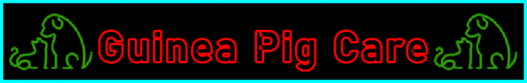 My-Pet-Extra Guinea Pig Care Page Title Image Banner - Visitor Navigation Information Support Black Green Red Blue