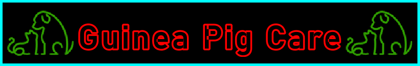 My-Pet-Extra Guinea Pig Care Page Title Image Banner - Visitor Navigation Information Support Black Green Red Blue