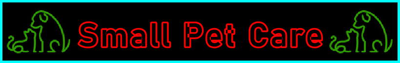 My-Pet-Extra Small Pet Care Page Title Image Banner - Visitor Navigation Information Support Black Green Red Blue
