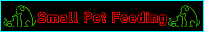 My-Pet-Extra Small Pet Feeding Page Title Image Banner - Visitor Navigation Information Support Black Green Red Blue