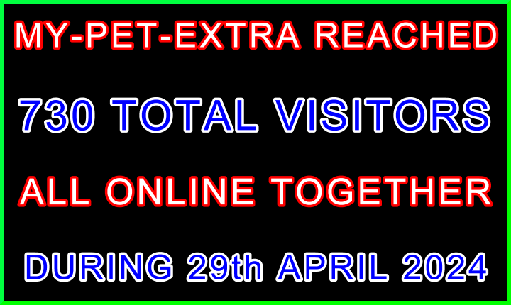 My-Pet-Extra Member Reached 730 Online Visitorss - Visitor Site Navigation Information Support Banner Black Blue Red