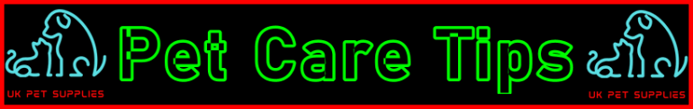 My-Pet-Extra Pet Care Tips Page Title Image Banner - Visitor Navigation Information Support Black Green Red Sky Blue