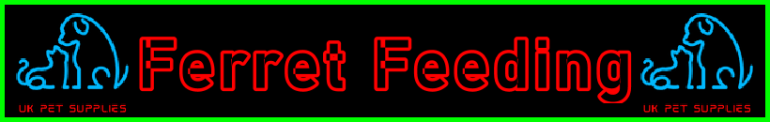 My-Pet-Extra Ferret Feeding Page Title Image Banner - Visitor Navigation Information Support Black Blue Red Blue