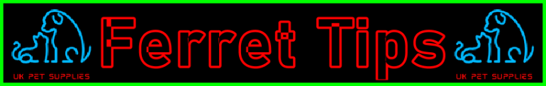 My-Pet-Extra Ferret Tips Page Title Image Banner - Visitor Navigation Information Support Black Blue Red Blue