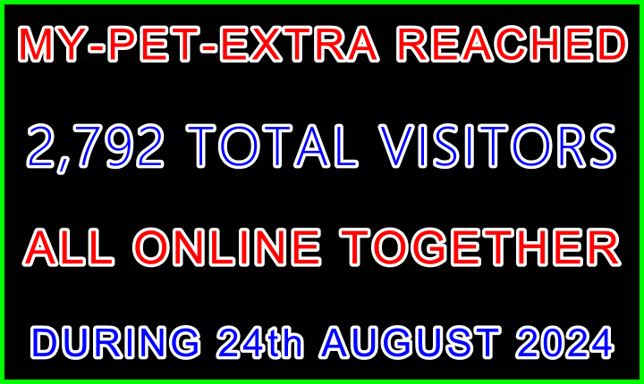 My-Pet-Extra Member Reached 730 Online Visitorss - Visitor Site Navigation Information Support Banner Black Blue Red