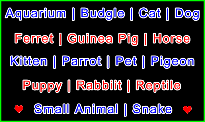 My-Pet-Extra Pet Species Banner Image Black Blue Green Red