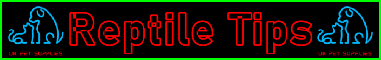 My-Pet-Extra Reptile Tips Page Title Image Banner - Visitor Navigation Information Support Black Blue Red Blue