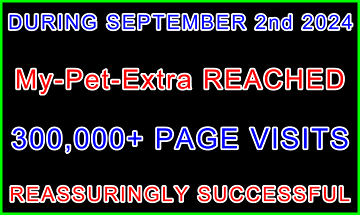 My-Pet-Extra 300,000 Page Views Blue Green Red